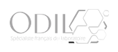 logo ODIL SAS 170x75